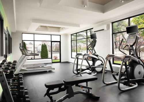 a gym with treadmills and ellipticals in a room with windows at Holiday Inn Boston - Dedham Hotel & Conference Center by IHG in Dedham