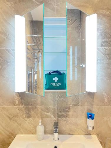 a bathroom with a sink and a mirror at Luxury London Garden Flat in London