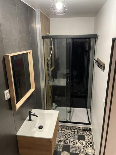 La salle de bains est pourvue d'une douche et d'un lavabo blanc. dans l'établissement Pra-loup 1600, à Uvernet