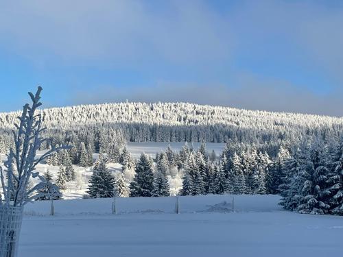 a snow covered mountain with trees and a fence at Apartmán Ela in Horní Blatná