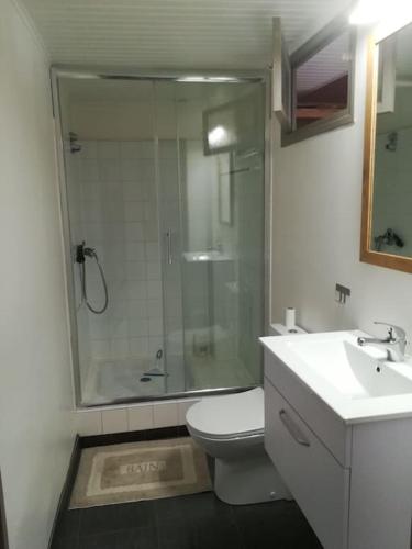 une salle de bain avec une douche, des toilettes et un lavabo dans l'établissement appartement avec cachet au coeur de Vals les bains, à Vals-les-Bains