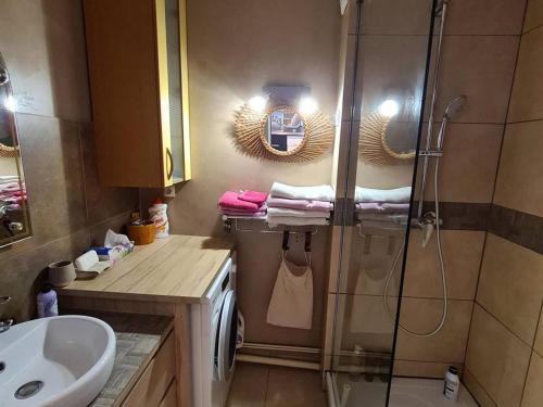 une salle de bain avec douche et lavabo dans l'établissement Appartement T2 avec terrasse, jardinet, piscine et parking privé - Argelès-sur-Mer - FR-1-388-57, à Argelès-sur-Mer