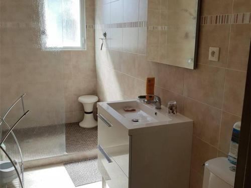 une salle de bain avec un lavabo, une douche et des toilettes dans l'établissement Studio Cabine Climatisé pour 4, à 100m de la Plage, Argelès-sur-Mer - FR-1-388-104, à Argelès-sur-Mer