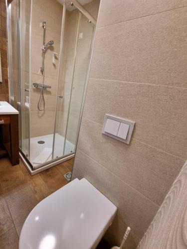 a bathroom with a shower and a toilet and a sink at Apartman aparthotel Vučko in Jahorina