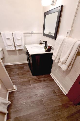 a bathroom with a sink and a mirror at The Wilderness Inn: Chalets in Wilmington