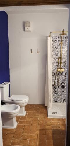 a bathroom with a toilet and a shower at Podere Campiano in Volterra