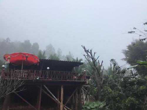 Gallery image of Forest Guesthouse in Samoeng