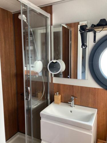 a bathroom with a shower and a white sink at Ecolodge Charles Ashton Hébergement insolite sur l'eau in Sarzeau