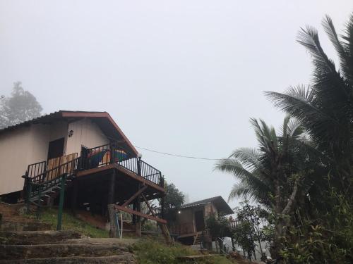 Gallery image of Forest Guesthouse in Samoeng