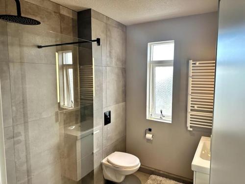 ein Bad mit einem WC, einer Dusche und einem Waschbecken in der Unterkunft Elegant apartment in Keflavík in Keflavík