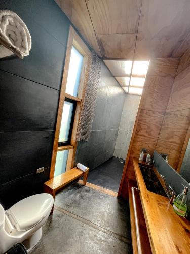 a bathroom with a toilet and a sink at El Coo Lodge in Queilén