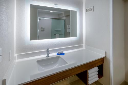 uma casa de banho com um lavatório branco e um espelho. em Holiday Inn Express Hotel & Suites Salisbury - Delmar, an IHG Hotel em Delmar