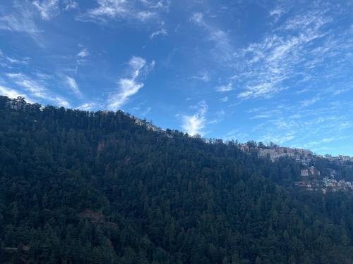 a mountain covered in trees with a blue sky at Calm Paradise in Shimla