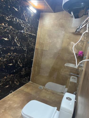 a bathroom with a toilet and a shower at Calm Paradise in Shimla