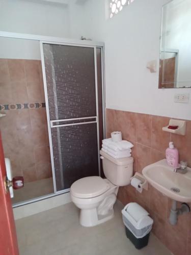 y baño con aseo, ducha y lavamanos. en villa roman, en Montenegro