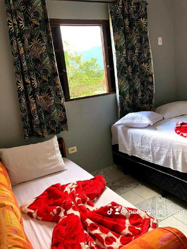 a small room with two beds and a window at Pousada Aconchego Bertioga in Bertioga