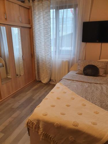 a bedroom with a bed with a cat sleeping on it at Vila Sunset in Galaţi