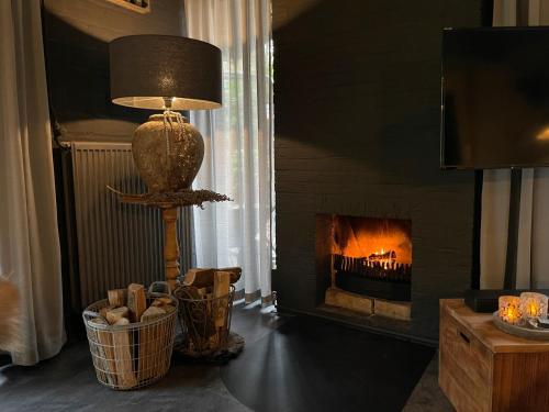 Фотография из галереи Lodge in een bosrijke omgeving met Hottub & Sauna opt в городе Rheezerveen