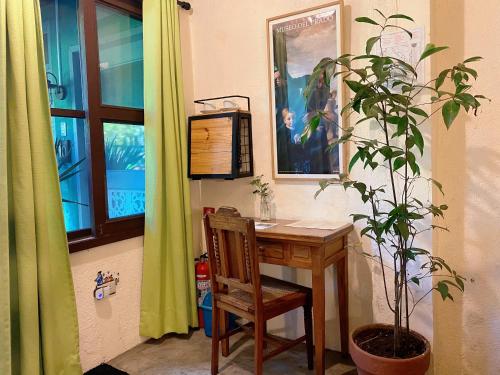 a desk with a potted plant next to a window at Casa San Pablo B & B in San Pablo