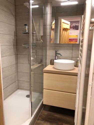 une salle de bain avec douche et lavabo dans l'établissement Le Bouquetin - Immeuble Le Pluton, à Les Deux Alpes