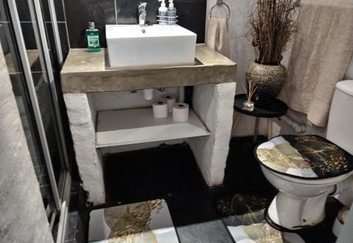 a bathroom with a sink and a toilet at Maboneng Precinct Johannesburg - Craftsmenship Apartments in Johannesburg