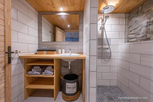 a bathroom with a sink and a shower at Le Refuge Ibex - Chalet d'Alpage au coeur de la nature - 8 personnes in Orcières