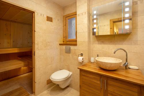 夏慕尼白朗峰的住宿－Chalet des Favrands，一间带水槽和卫生间的浴室
