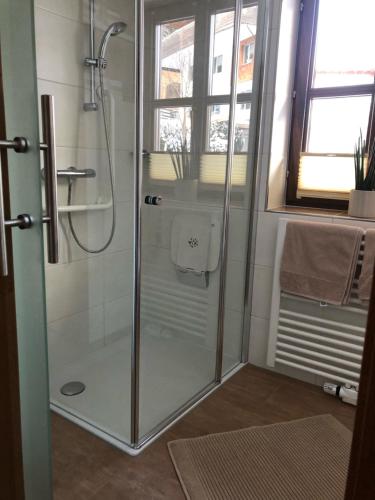 y baño con ducha y puerta de cristal. en Luserblick, en Haus im Ennstal