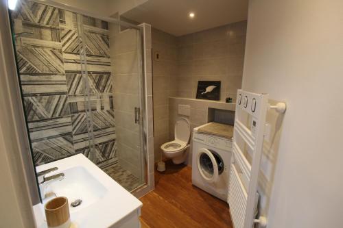 a bathroom with a shower and a toilet and a sink at RHUNE ET MER AVEC LES CLES DE LUZ in Saint-Jean-de-Luz