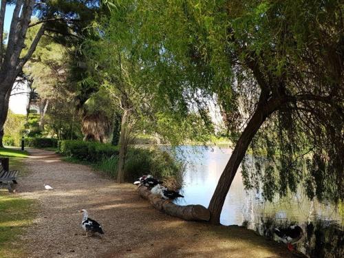 Photo de la galerie de l'établissement T2 à 200 m plages - Wi-Fi - Piscine Gratuite - Parking - Tennis - Proche Commerces - FR-1-316-146, à Six-Fours-les-Plages