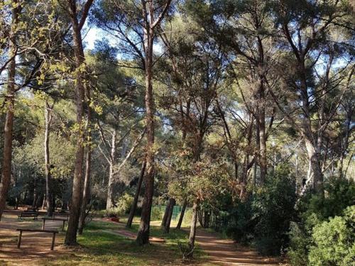 Photo de la galerie de l'établissement T2 à 200 m plages - Wi-Fi - Piscine Gratuite - Parking - Tennis - Proche Commerces - FR-1-316-146, à Six-Fours-les-Plages