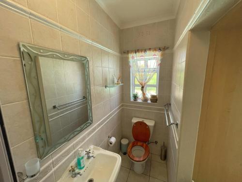 a bathroom with a toilet and a sink and a mirror at Lemon Tree Cottage in Edgemead