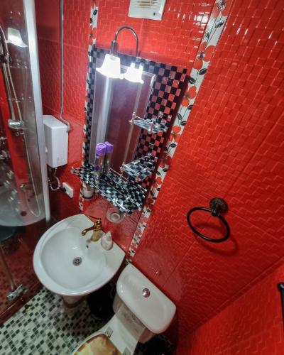 a red bathroom with a sink and a toilet at Hostel Sadu Kutaisi in Kutaisi