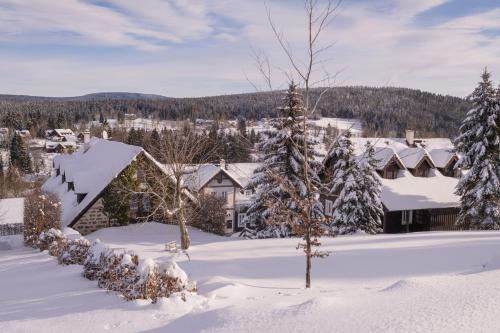 a village covered in snow with trees and houses at Penzion Statek u Rajtrů in Bedřichov