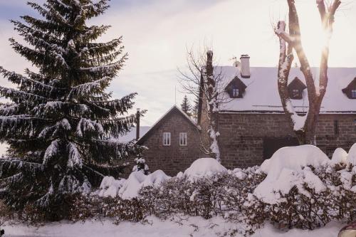 a snow covered christmas tree in front of a house at Penzion Statek u Rajtrů in Bedřichov