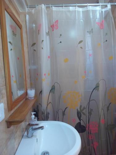 a bathroom with a sink and a shower curtain with butterflies at Chetty Tourist Residence in Pereybere