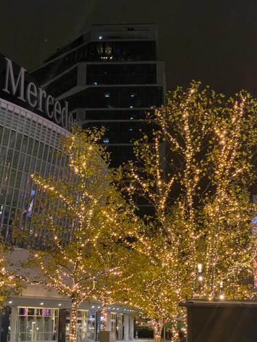 a group of trees with lights in front of a building at Pure Berlin Apartments - Luxury at Pure Living in City Center in Berlin
