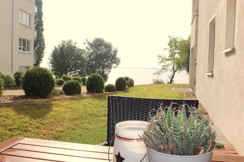 a patio with a table and potted plants and the ocean at FerienWohnung SeeUfer am Plöner See in Ascheberg