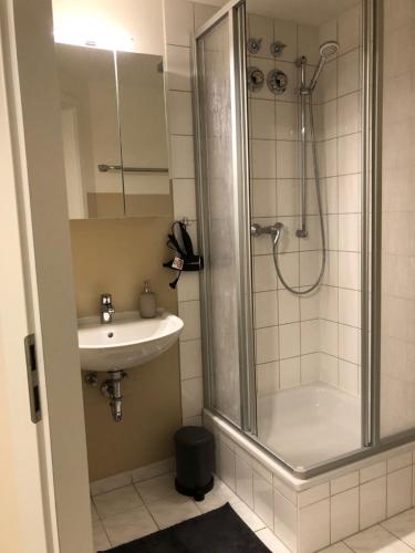 uma casa de banho com um chuveiro e um lavatório. em GottwaldHaus-Freiberg-Apartment / A em Freiberg