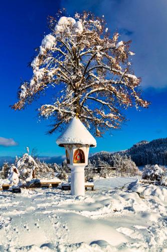 Haus am Wald durante el invierno
