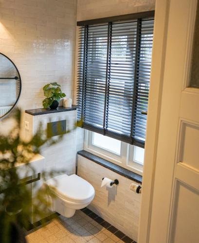 a bathroom with a toilet and a window at Villa la Vida in Tilburg