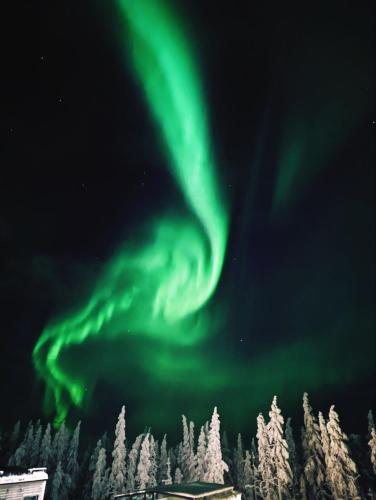 an aurora is dancing in the sky over trees at Levi Sky Igloo with private sauna and hot tub in Levi