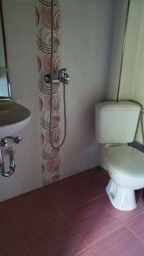 a bathroom with a toilet and a sink at Gostnici Holiday Home in Razlog