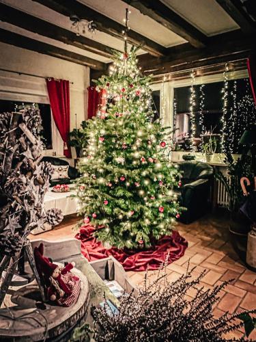 a christmas tree in the middle of a living room at Hotel Bergstätter Hof in Immenstadt im Allgäu