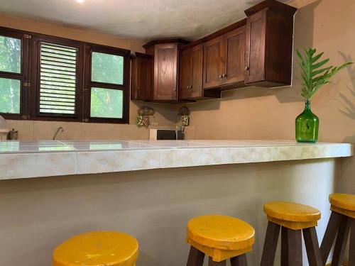 a kitchen with wooden cabinets and yellow stools at VILLA ANACAHUITA, Limonal in Jarabacoa