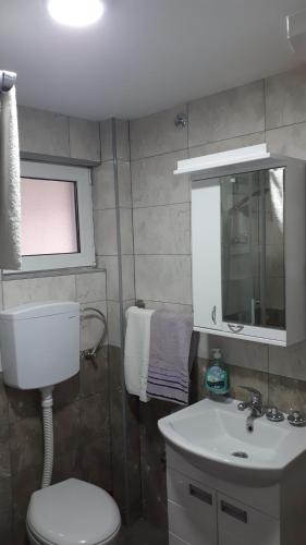 a bathroom with a toilet and a sink and a mirror at Apartman Gorski raj minimum 2 nocenja in Jevtići