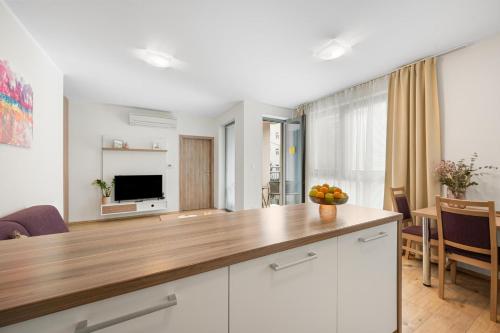 Kuchyň nebo kuchyňský kout v ubytování Apart Hotel VIRGO