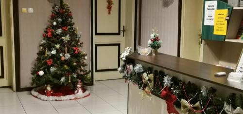 a christmas tree in a room with a counter at The English Guest House in Ruse