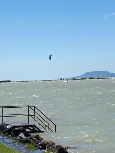 a pier on the water with a bird in the sky at Beatrix apartman in Balatonőszöd