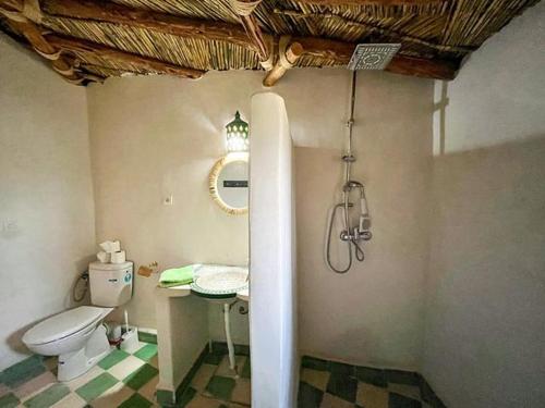 a bathroom with a toilet and a shower in it at Les Jardins d Amizmiz in Amizmiz